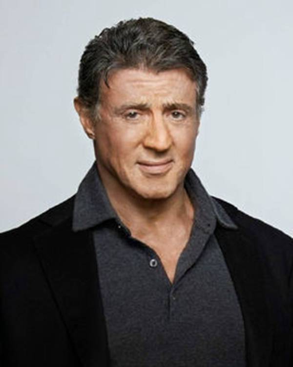 每日花语陈春花,每日花语全集