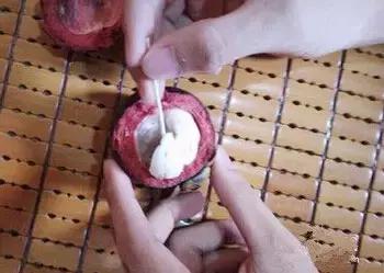 山竹如何快速的剥开,山竹怎么剥开里面的肉