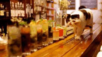 贵阳最有氛围的小酒吧,贵阳有格调的小酒吧