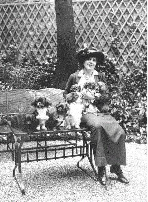 知宠是什么,知宠