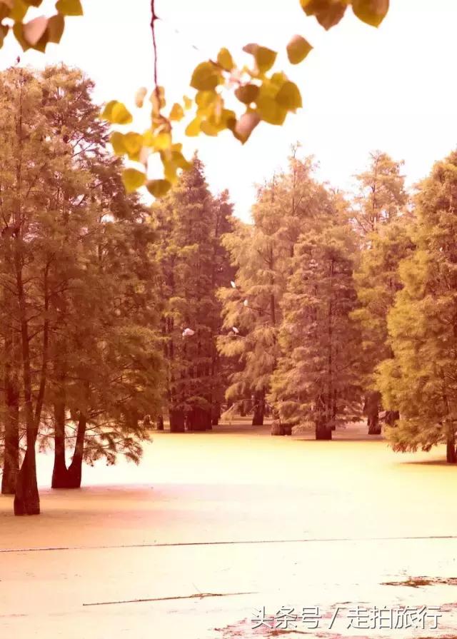 滁州游玩攻略潮玩街区,滁州最值得玩的地方