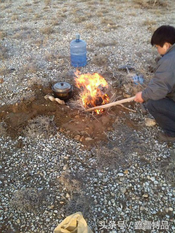 去新疆戈壁滩上捡金丝玉石头视频,宝石光金丝玉戈壁滩