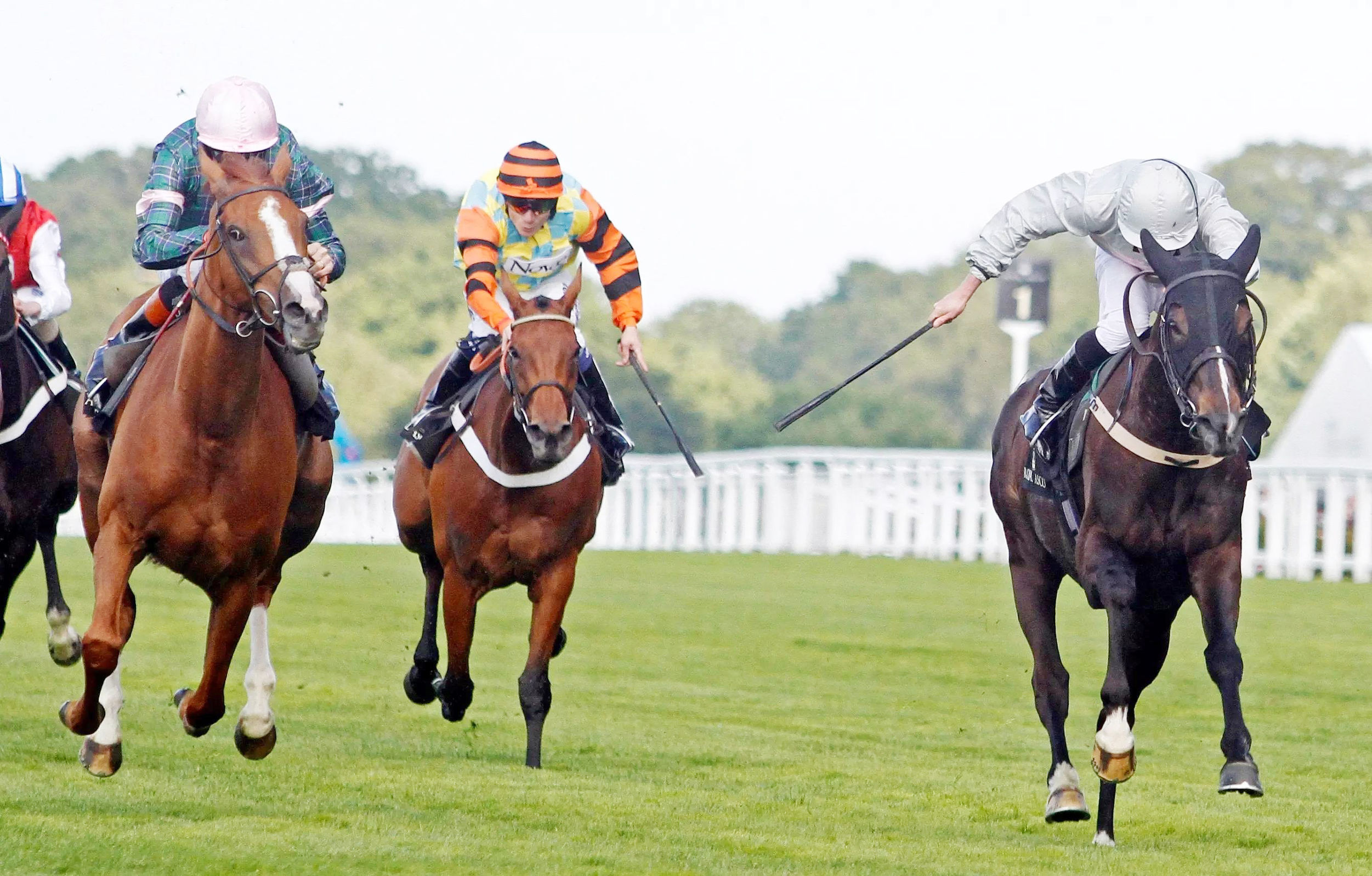 第一次去爱尔兰旅游,北爱尔兰旅游真实感受