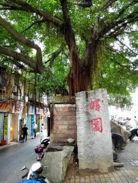 韶关,一个我们舍不得说再见的地方,韶关人顶起!