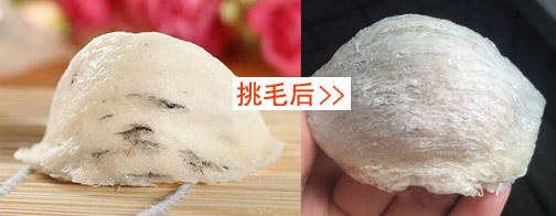 终于知道燕窝为啥这么贵,终于知道燕窝为什么这么贵