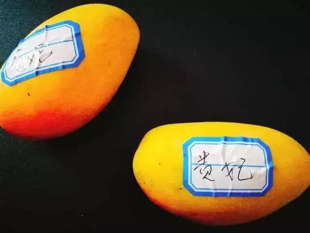 蔷薇水果店~“品控达人”的福音!