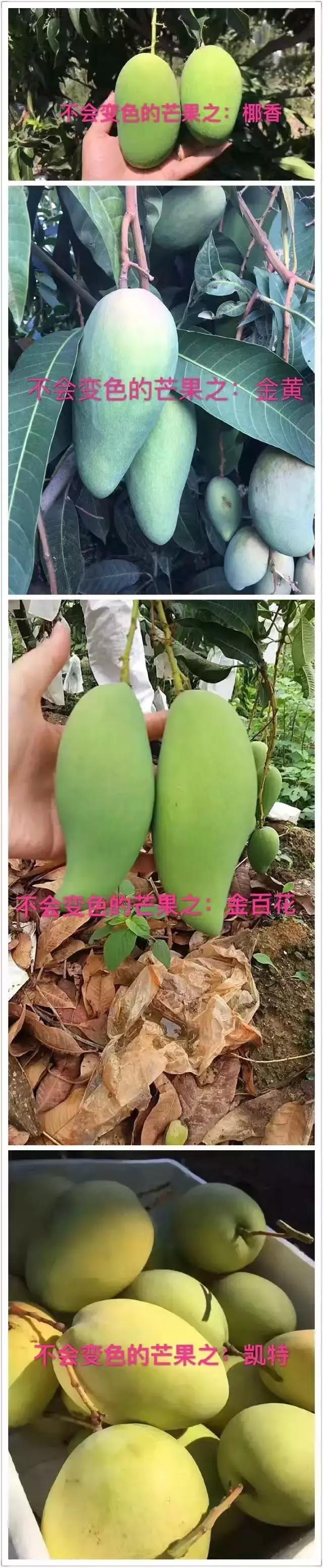 蔷薇水果店~“品控达人”的福音!