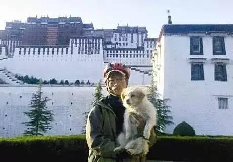 狗狗奔跑17公里,1700公里进藏的狗狗