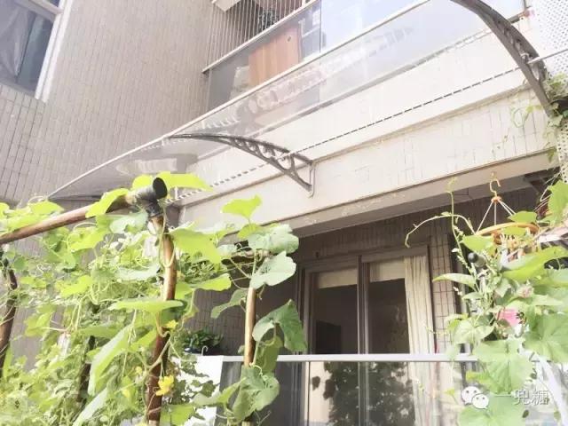 只有飘窗没有阳台晾衣服怎么办,高层没有阳台如何晾衣服