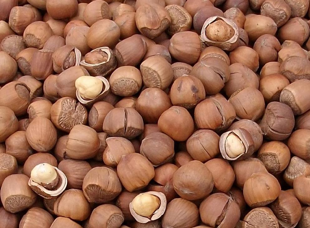 新疆阿克苏主要盛产什么干果,中国盛产的干果有哪些