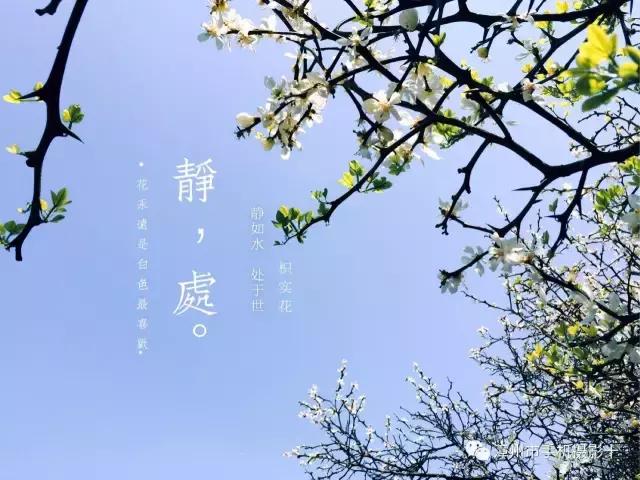 手机摄影作品实景,手机摄影作品展