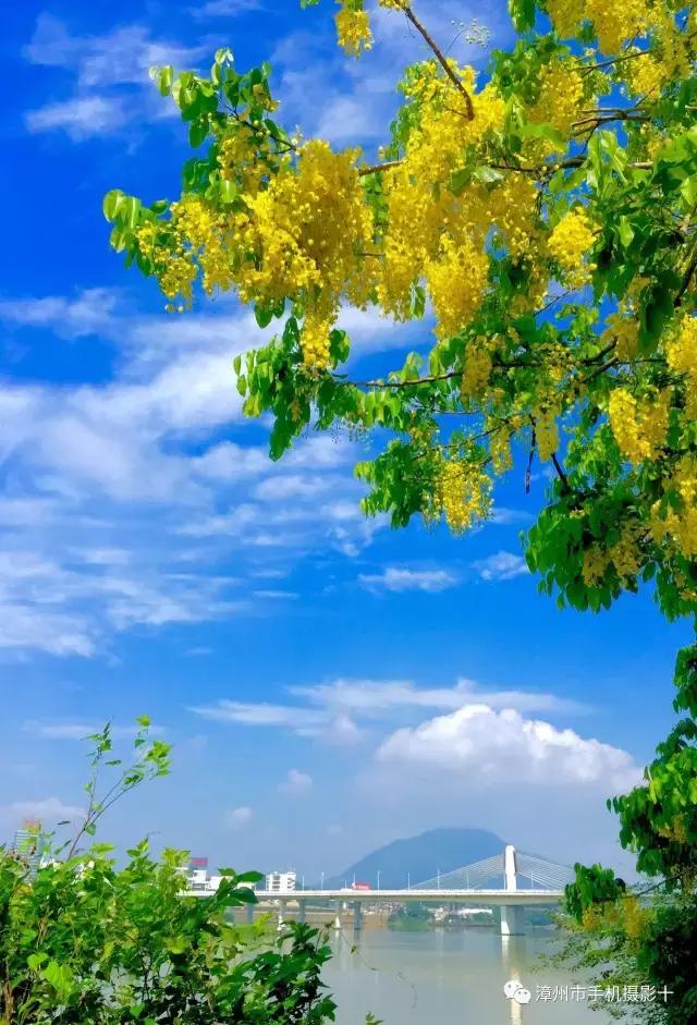 手机摄影作品实景,手机摄影作品展