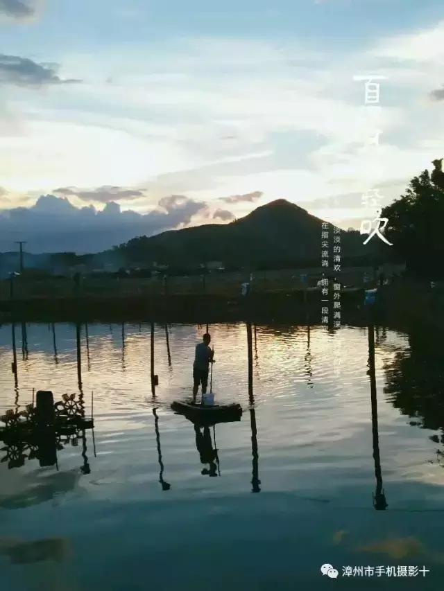 手机摄影作品实景,手机摄影作品展