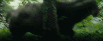 奉俊昊电影作品推荐,奉俊昊喜欢看的电影