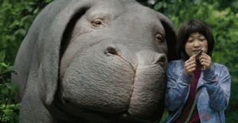 奉俊昊电影作品推荐,奉俊昊喜欢看的电影