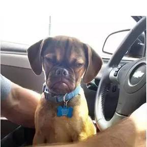 年收入上亿的网红靠谱吗,网红一个月真实收入