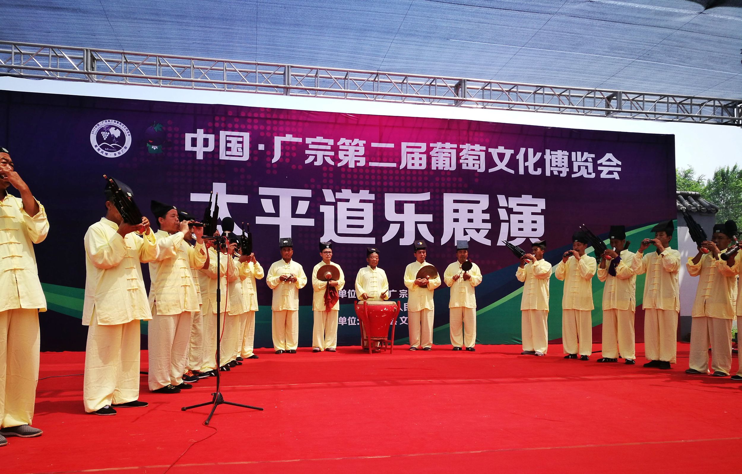 邢台广宗,葡萄王来了