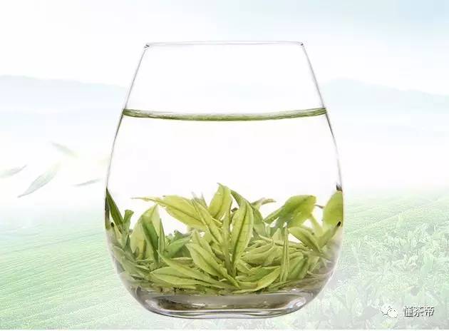 这里的“白茶”网上传言很多，哪个是正版？