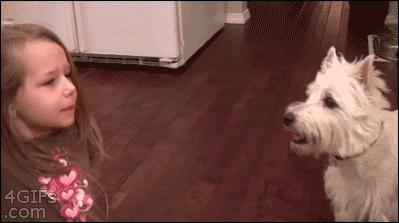 关于牙医你最想知道的是什么,关于正畸你想知道的都在这里