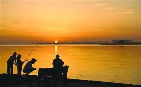 合肥土著眼中的合肥,安徽人眼中的合肥