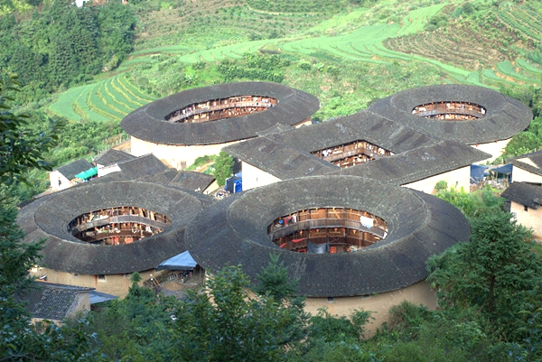 每日花语陈春花,每日花语全集