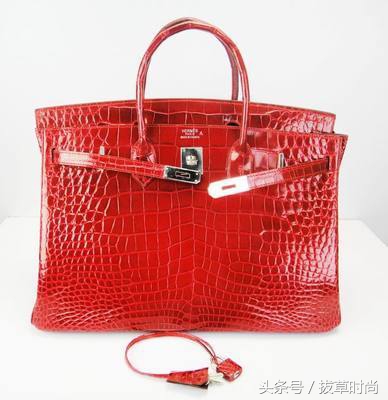 爱马仕鳄鱼皮包用的什么鳄鱼皮,喜马拉雅白鳄鱼皮包爱马仕
