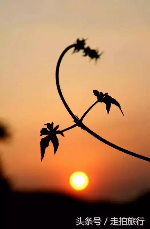 滁州游玩攻略潮玩街区,滁州最值得玩的地方