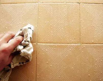 水槽里出现这种像蚂蟥的软体虫，真的得注意了！