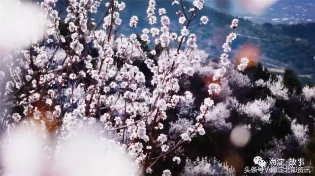 海淀最有文化气息的地方,海淀有文化底蕴的地方