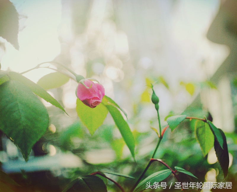 浪漫遇见纯音乐,浪漫遇见完整版