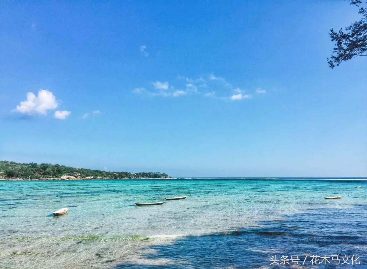 花木马亲子摄影,花木马