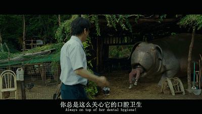 奉俊昊电影作品推荐,奉俊昊喜欢看的电影