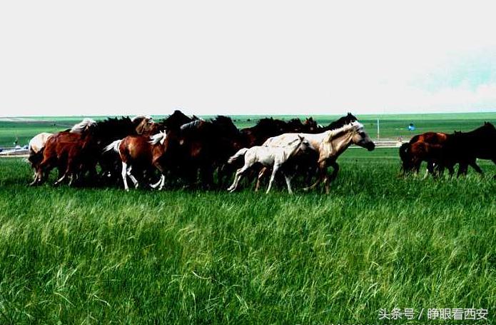 西安古村揭秘户县,西安古村揭秘长安区杜曲镇江坡村