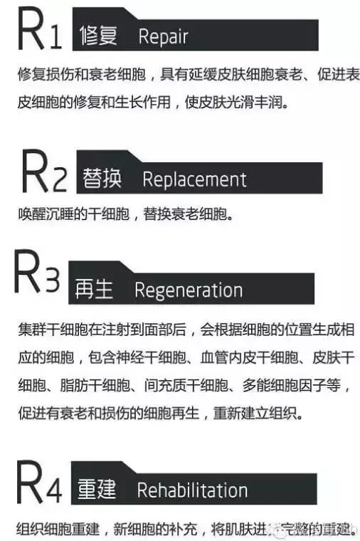 巨噬细胞衰老骨质疏松,成骨细胞会衰老吗