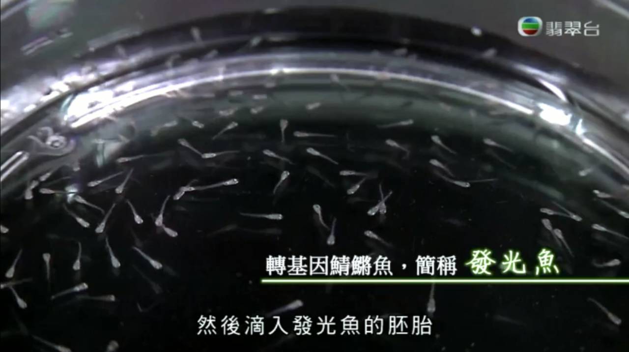 bb霜含雌激素吗,bb霜里面有雌激素吗