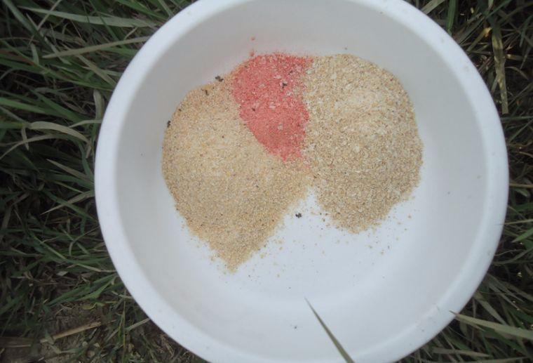 喜中大板鲫,餐条特别多如何钓鲫鱼