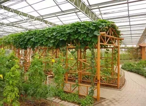 躺着赚钱的农村创富项目汇总,不费吹灰之力!