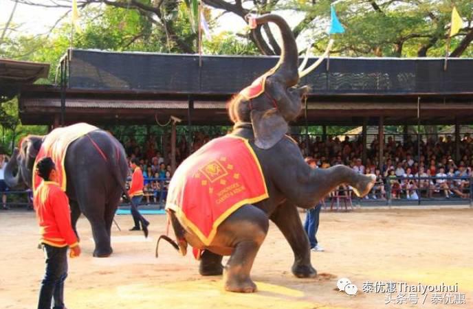 探秘泰国最大的私人园林——东芭乐园