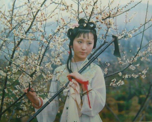 红楼梦全书背后的含义,红楼梦书名的意义是什么