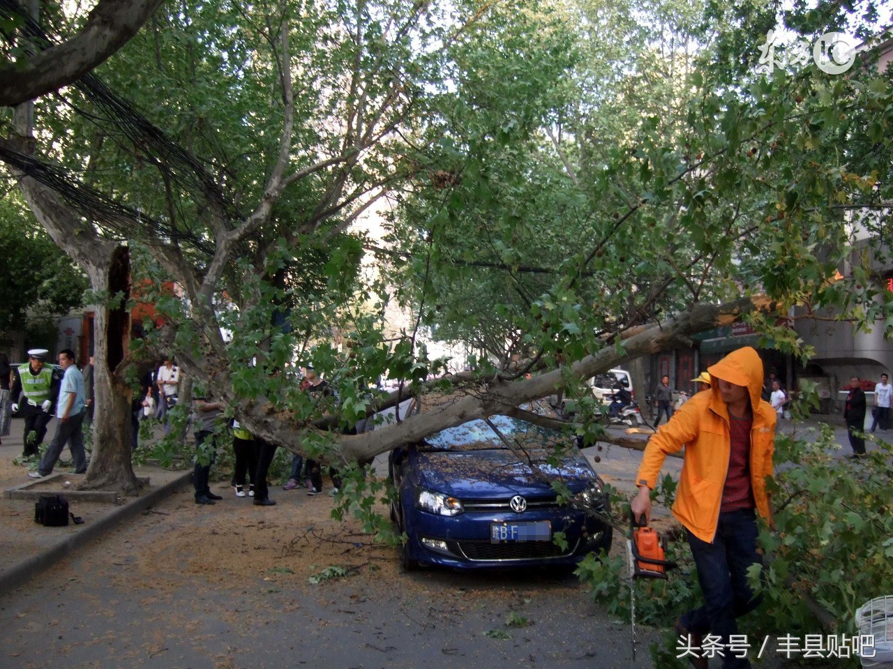 丰县事件是指的啥,丰县近几年恶性事件