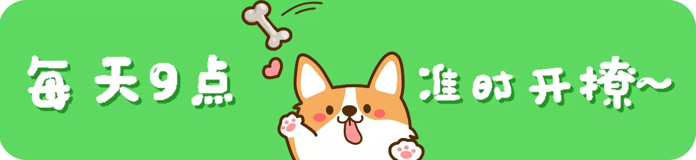 怎样训练猫咪定点大小便,4个月狗狗怎么训练定点排便