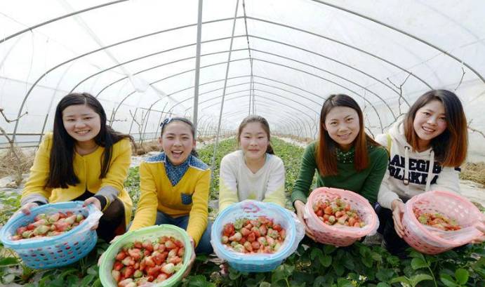 干农业怎么办最有效,干农业如何贷款