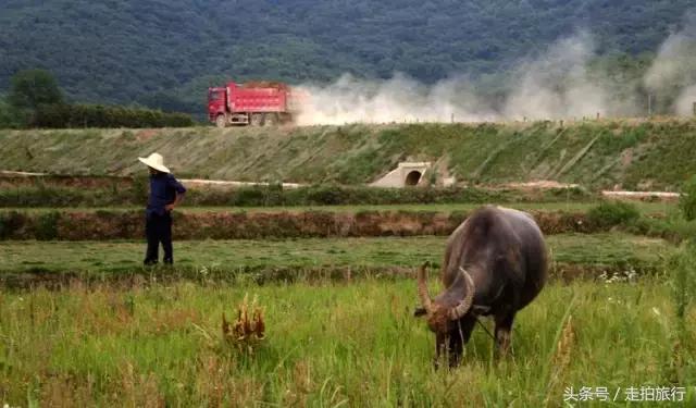 滁州游玩攻略潮玩街区,滁州最值得玩的地方