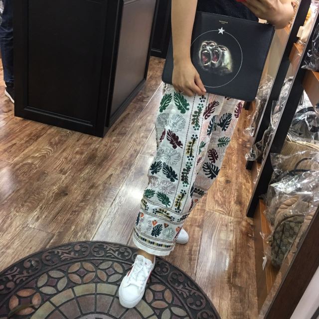 狗界奢侈品,金毛王可可