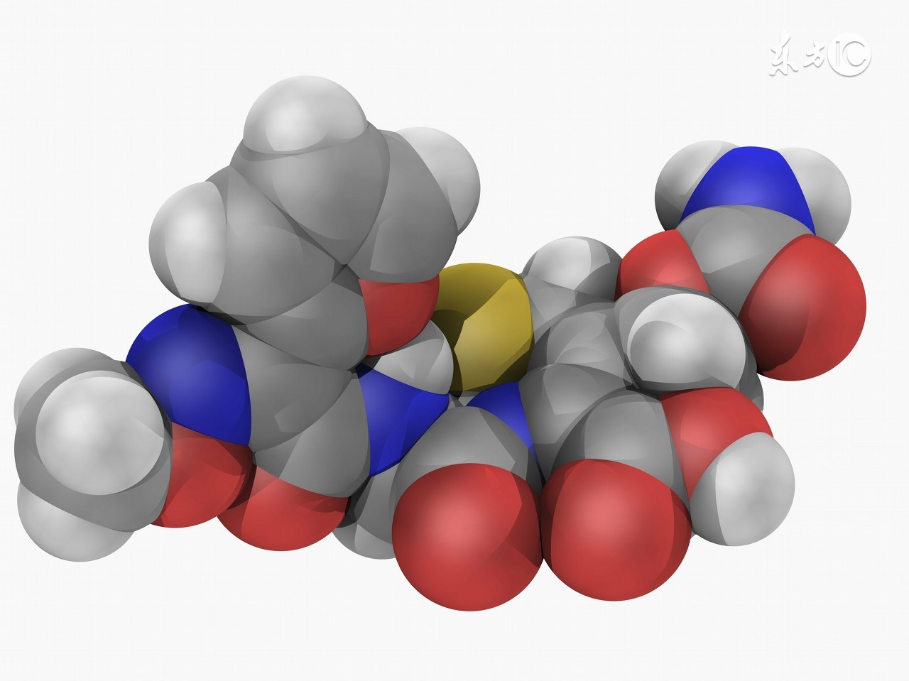 不明原因出血,头孢哌酮导致出血的原因