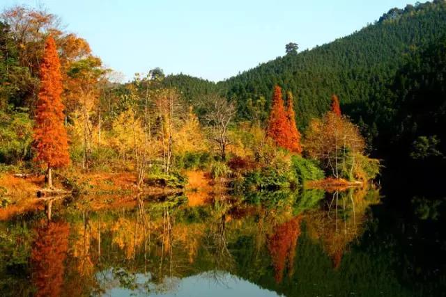 韶关,一个我们舍不得说再见的地方,韶关人顶起!