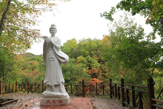 沈阳附近旅游攻略必玩的景点最新,沈阳旅游景点免门票的有哪些地方