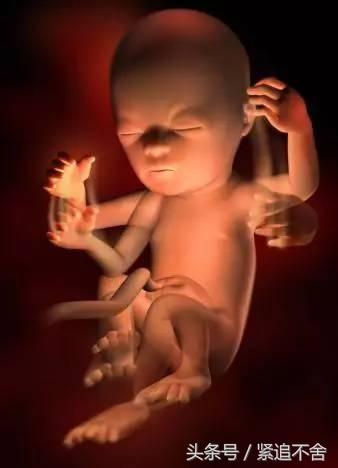 超萌龙凤胎宝宝图片,孕1到9周胎儿发育全过程