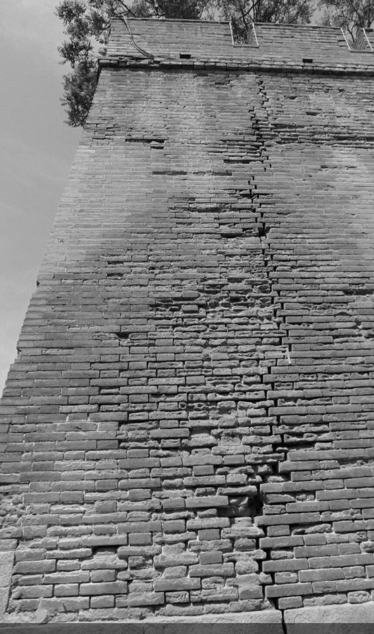 洛阳寿春小学,洛阳市寿春小学