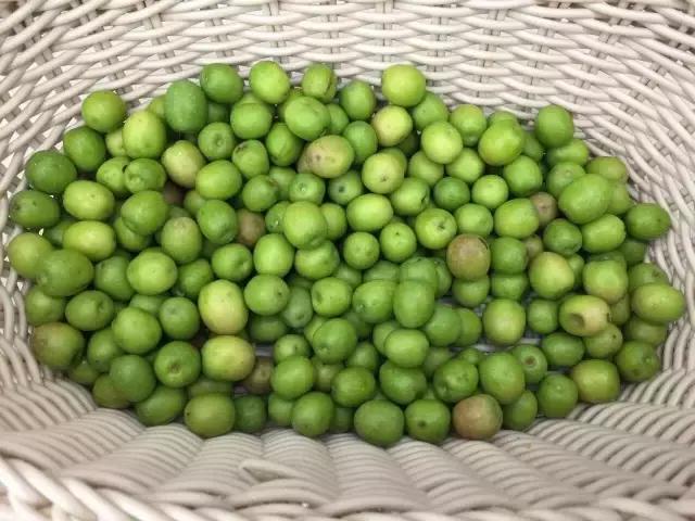 天天吃油，没听过“品油师”？这位北大博士告诉你